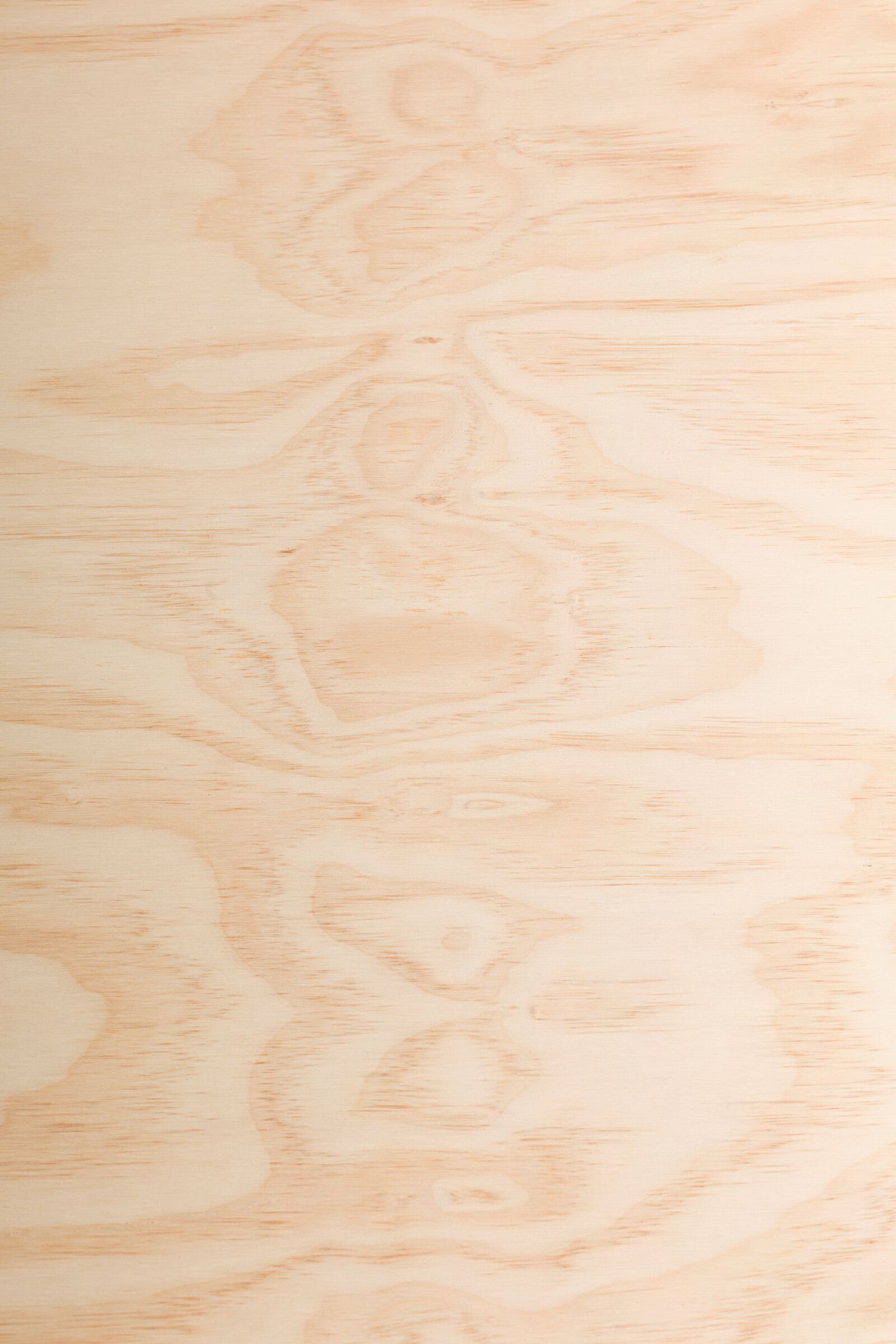 Canon EOS 7D sample photo. Wood texture, wood, wood photography