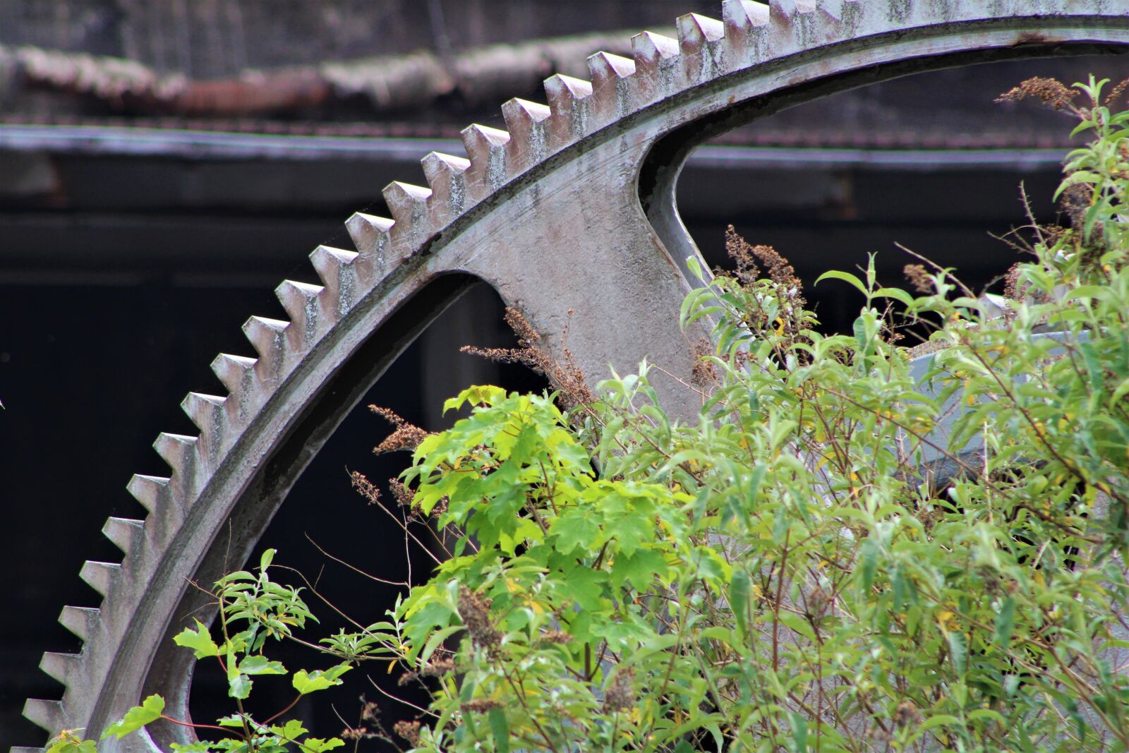 Canon EF75-300mm f/4-5.6 sample photo. Rust, industry, metal photography
