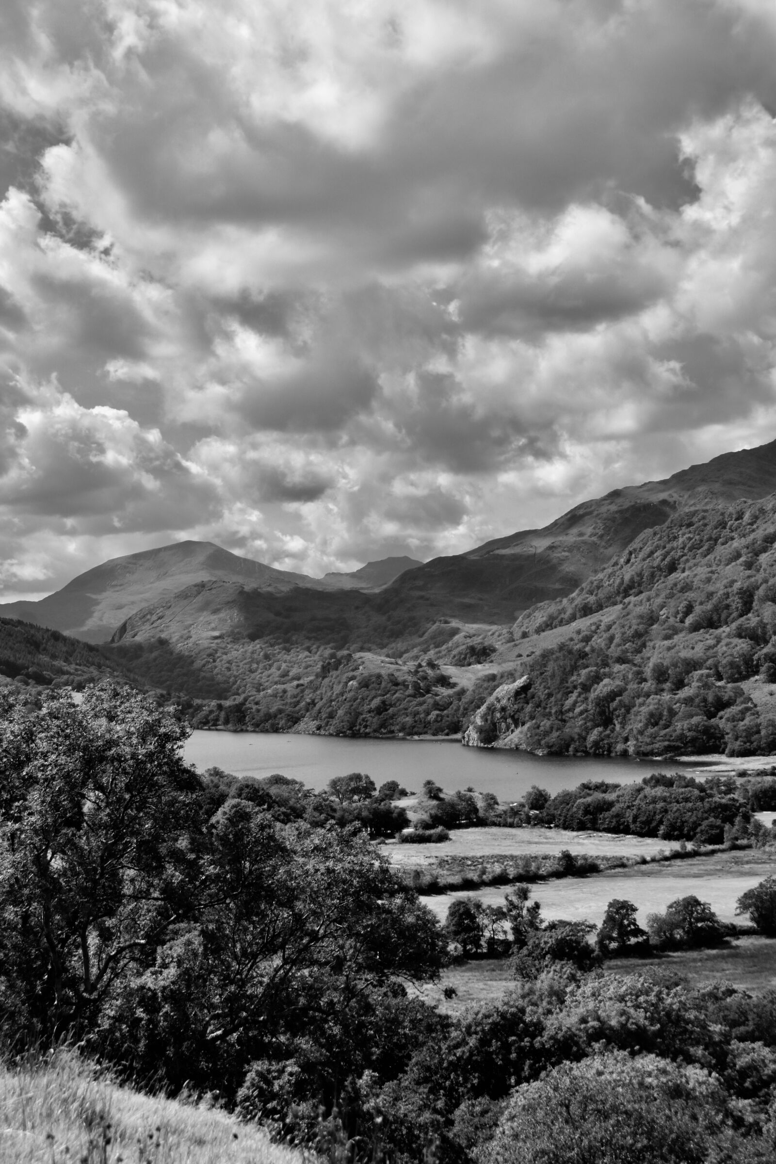 Nikon D5600 sample photo. Black white, countryside, wales photography
