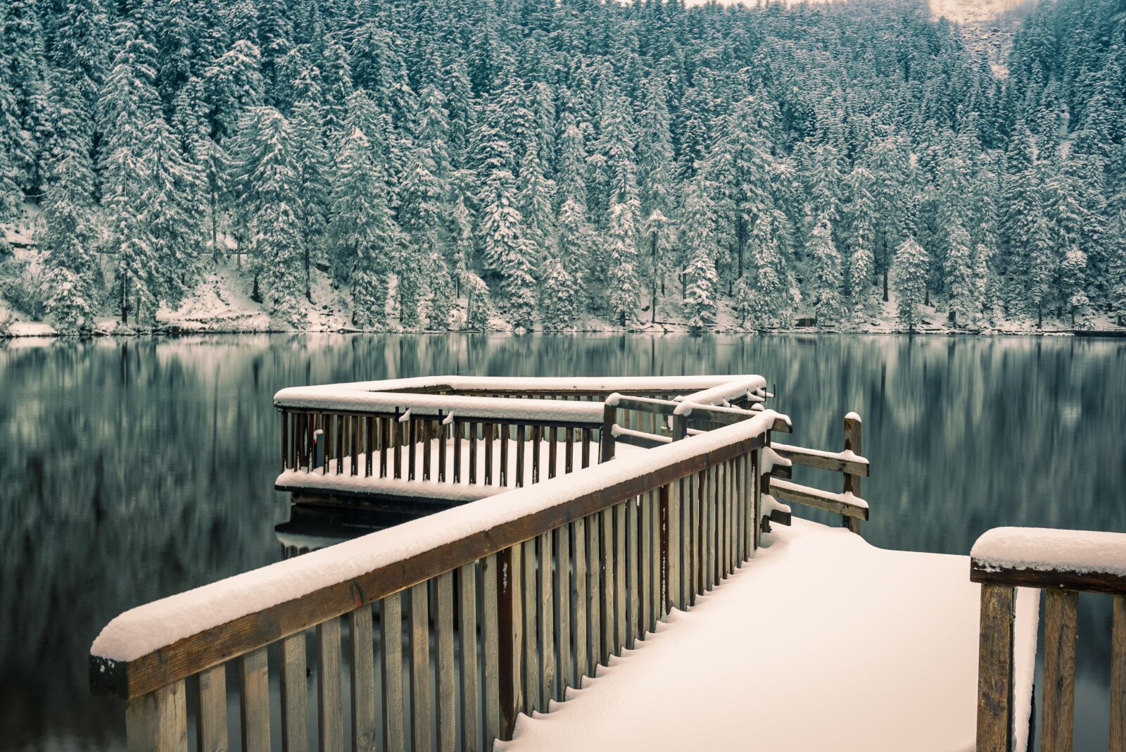Nikon D750 sample photo. Black forest, waldsee, winter photography