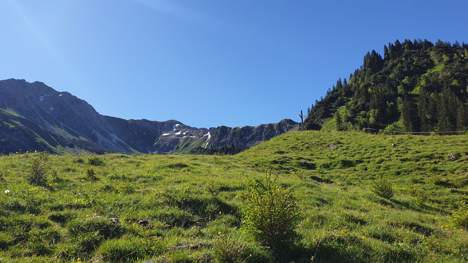Samsung Galaxy S9+ sample photo. Nature, mountains, landscape photography