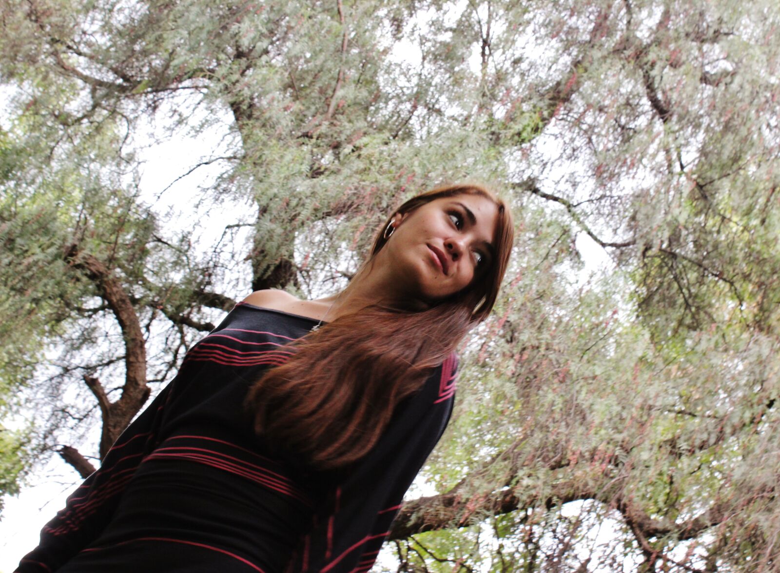 Canon EOS 600D (Rebel EOS T3i / EOS Kiss X5) sample photo. Forest, model, trees photography