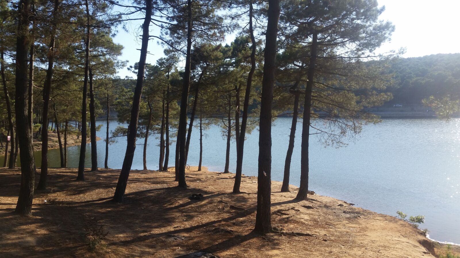 Samsung Galaxy S5 sample photo. Forest, lake, tree photography