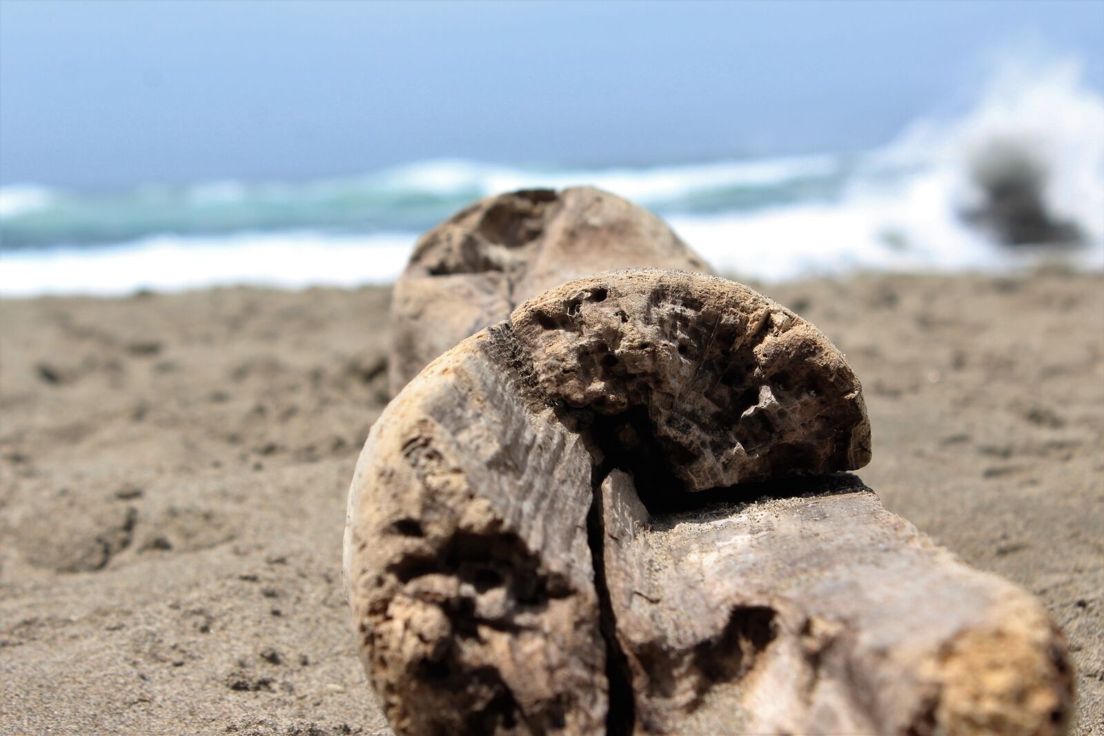 Canon EOS 1200D (EOS Rebel T5 / EOS Kiss X70 / EOS Hi) sample photo. Beach, driftwood, log photography