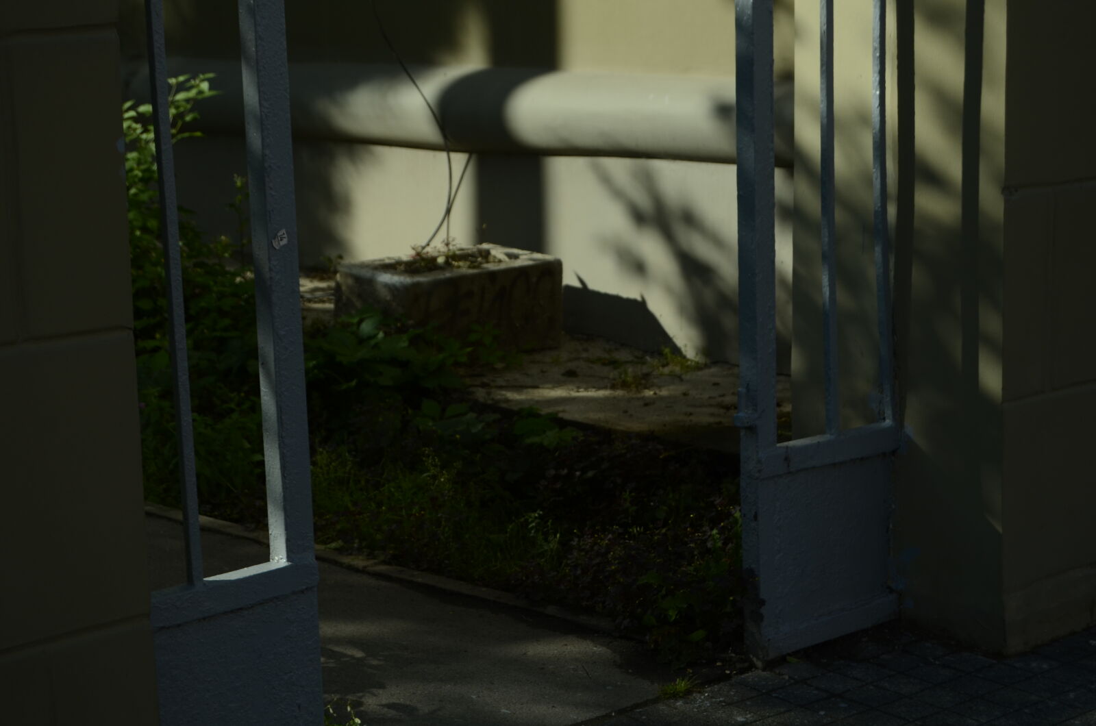 Nikon D5100 sample photo