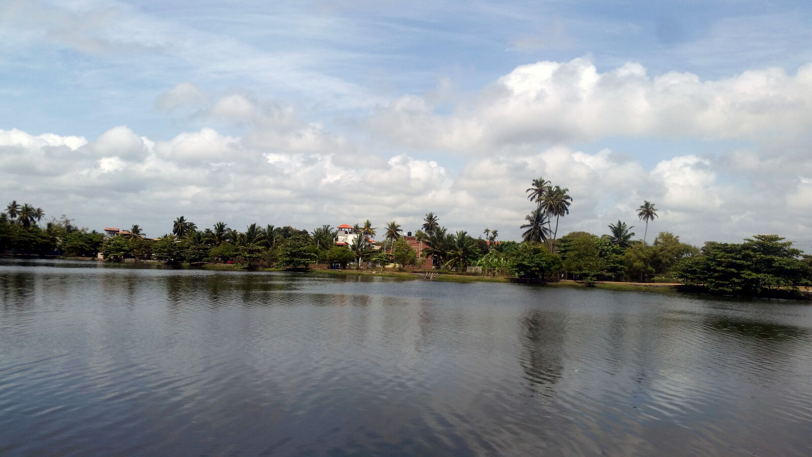 Samsung Galaxy S5 sample photo. Free, sri, lankan, photos photography