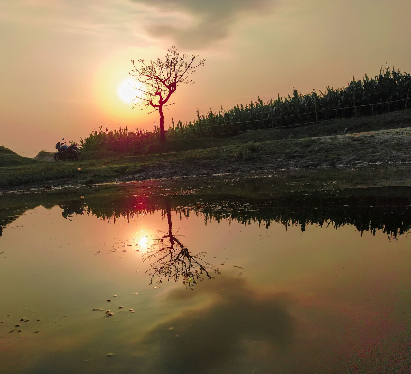 Xiaomi Mi A3 sample photo. Sunset, nature love, passion photography