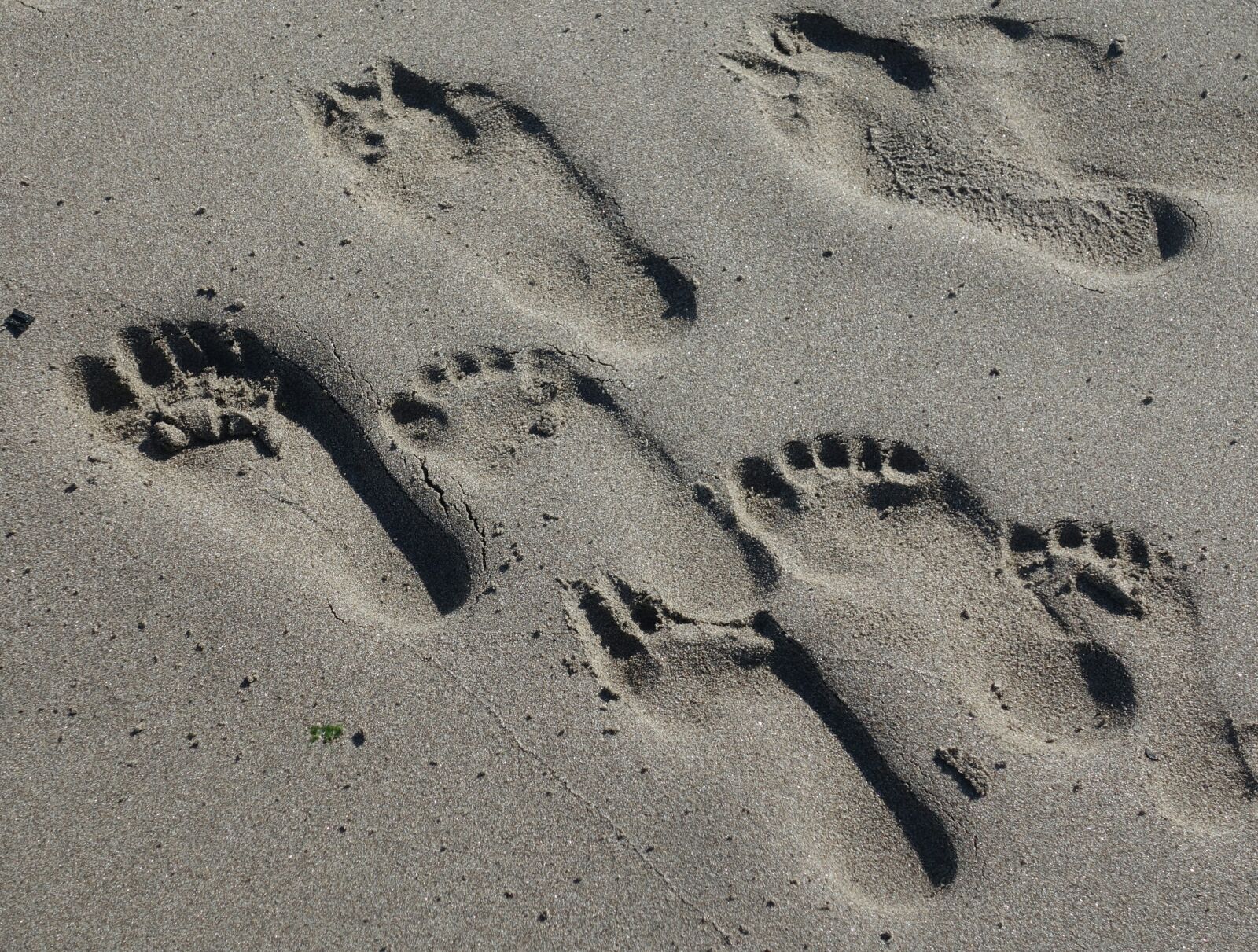 Sony Cyber-shot DSC-RX100 II sample photo. Footprints, sand, beach photography