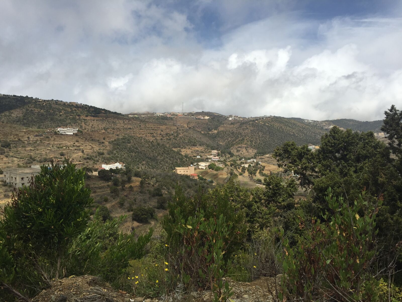 iPhone 6 back camera 4.15mm f/2.2 sample photo. Aseer, abha, souda photography