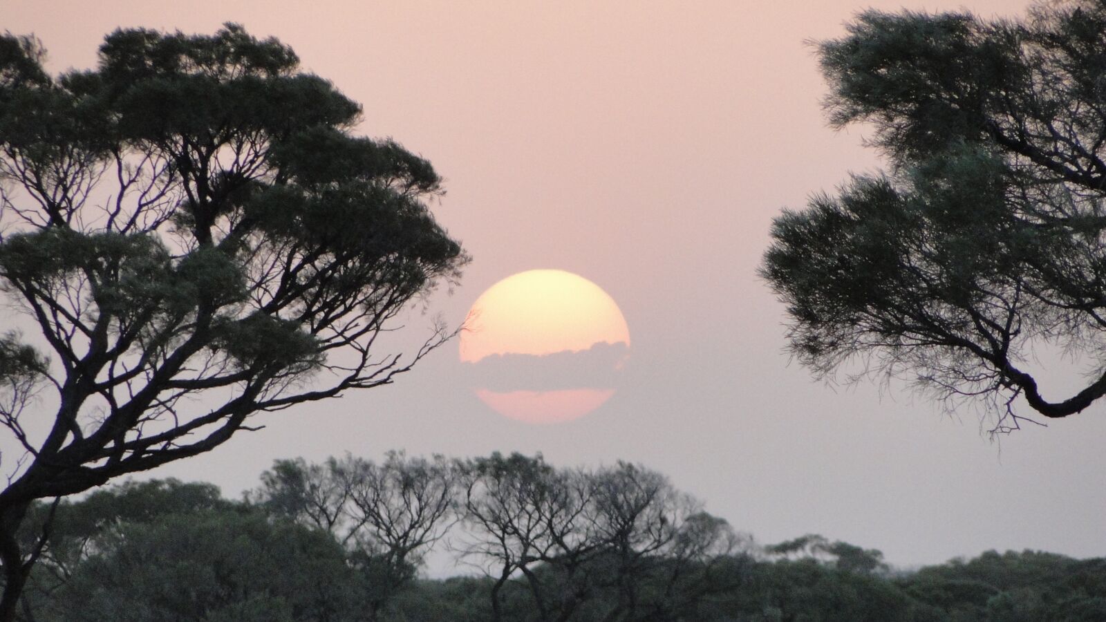Sony Cyber-shot DSC-HX1 sample photo. Australia, outback, sunset photography