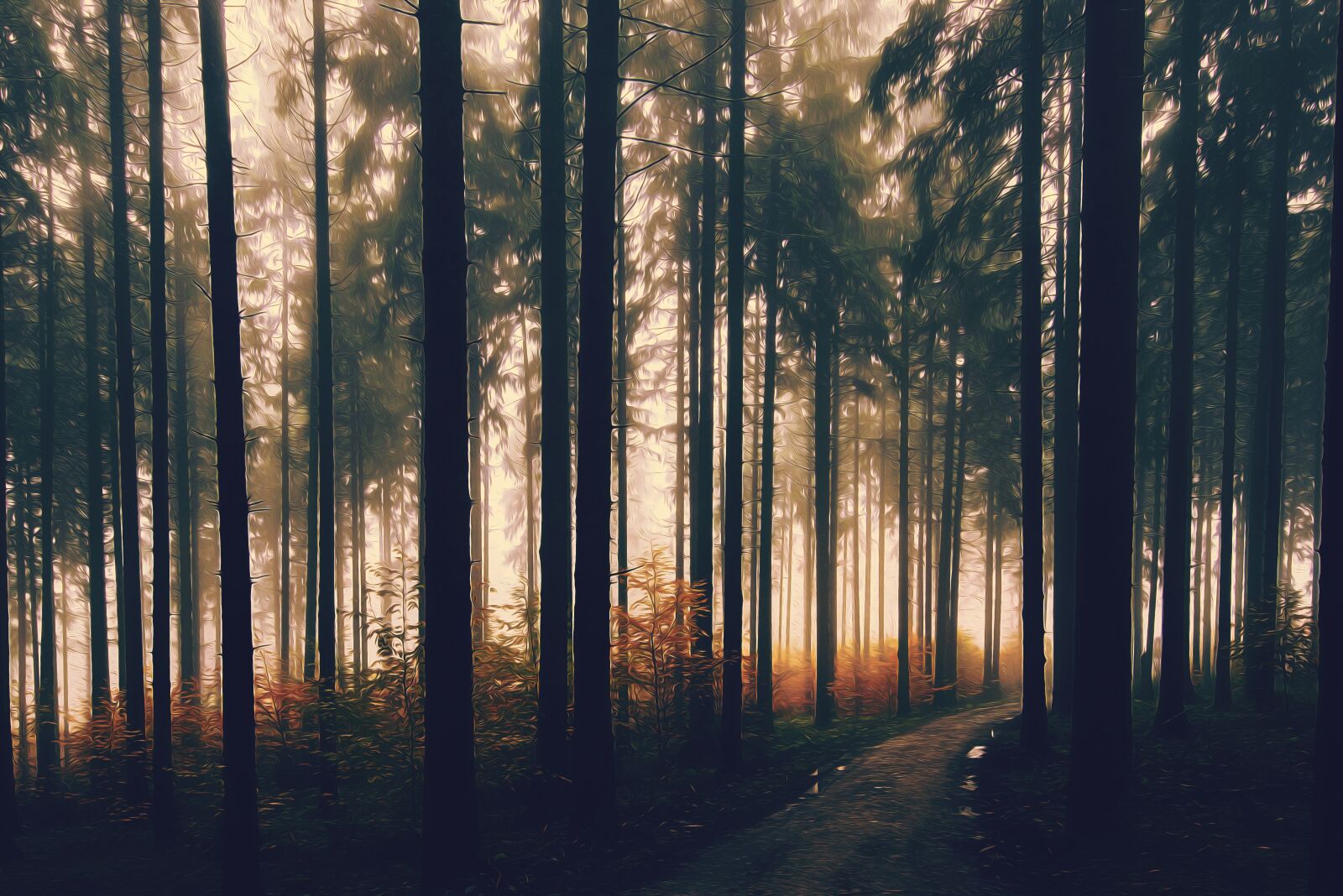 Nikon D750 sample photo. Forest, path, conifer photography