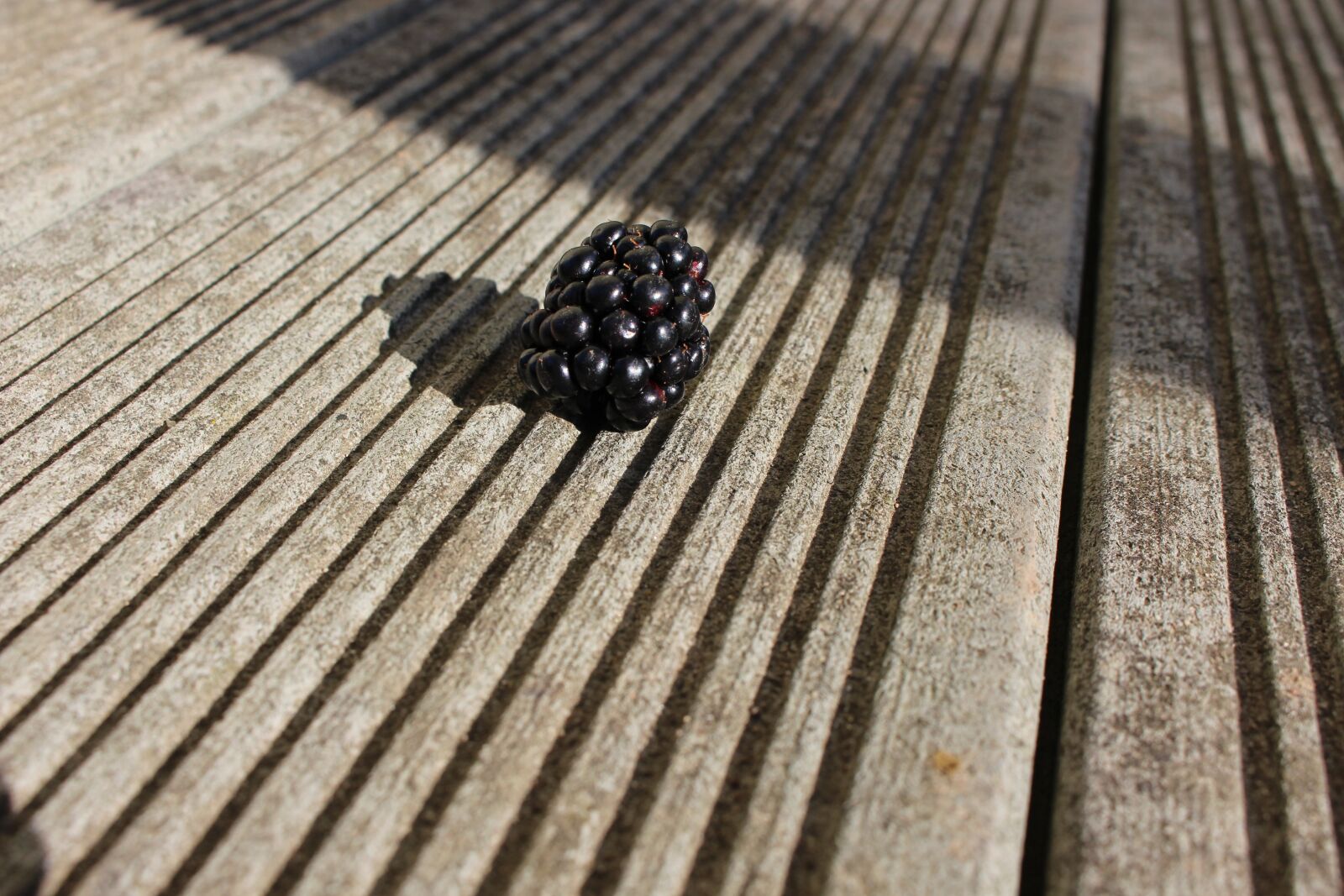 Canon EOS 700D (EOS Rebel T5i / EOS Kiss X7i) sample photo. Raspberry, sunny, summer photography