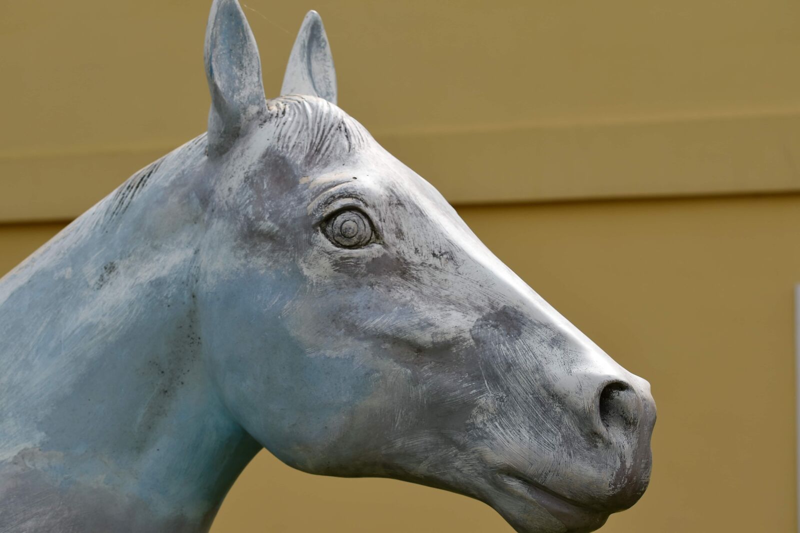 Nikon D5500 sample photo. Detail, horse, plastic, sculpture photography