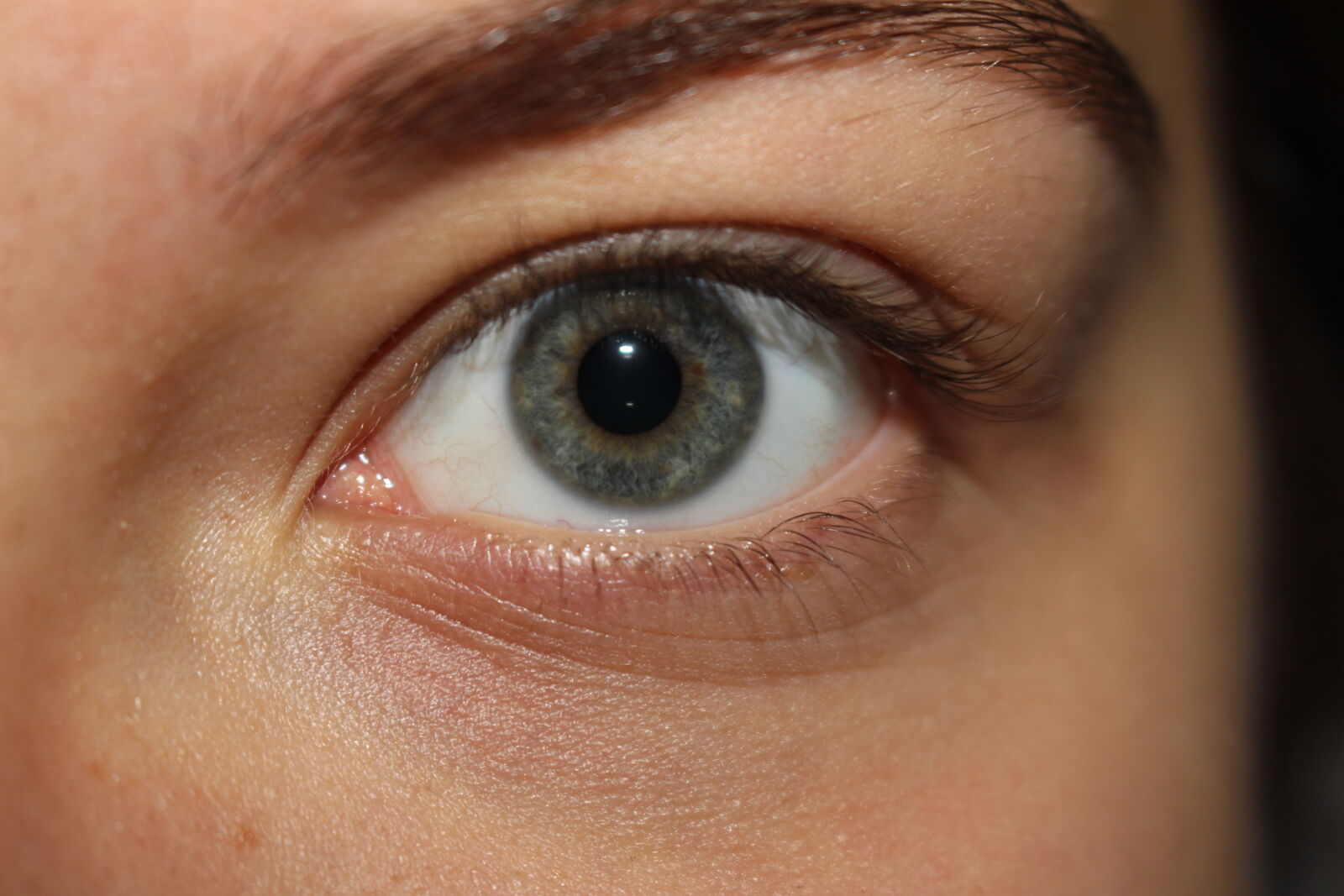 Canon EOS 700D (EOS Rebel T5i / EOS Kiss X7i) sample photo. Eye, iorigins photography