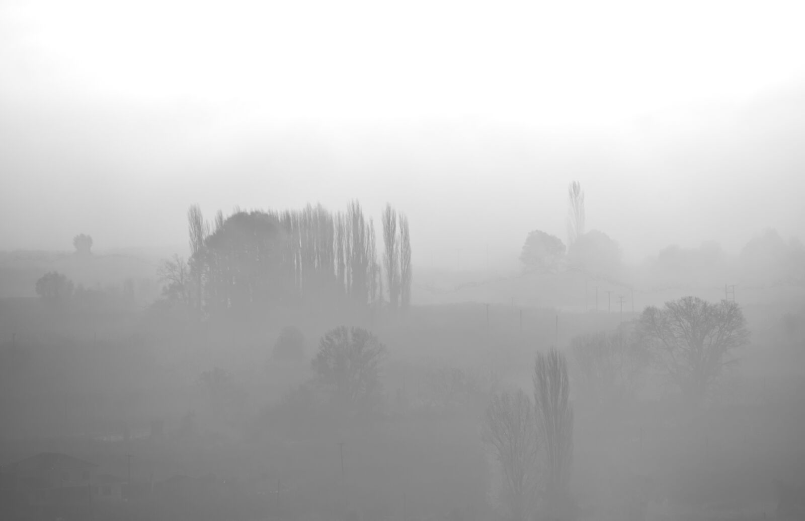 Nikon D5300 sample photo. Fog, nature, landscape photography