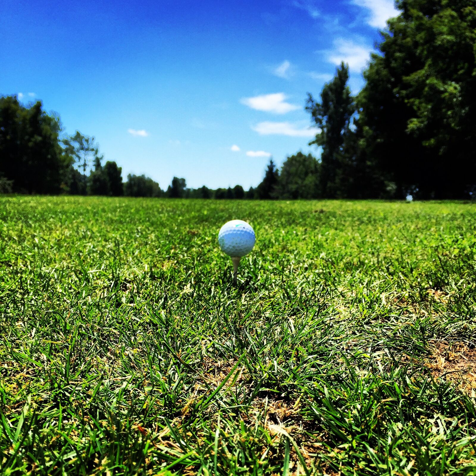Apple iPhone 6 sample photo. Golf, tee, ball photography