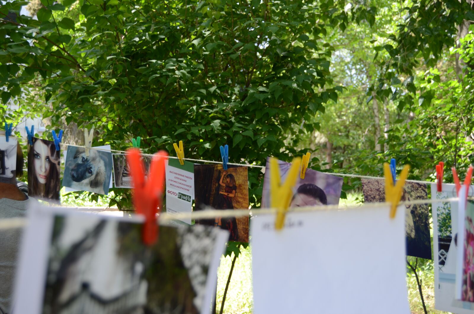 Nikon D7000 sample photo. Photos, drying, competition photography