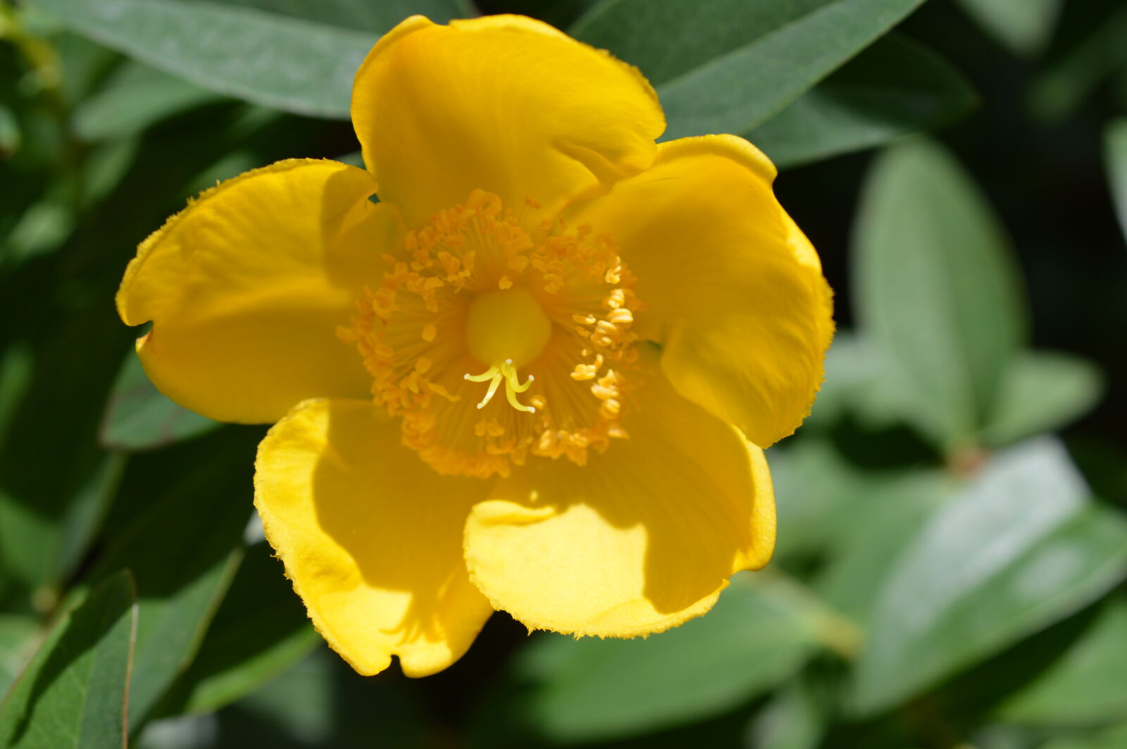 Nikon D3200 sample photo