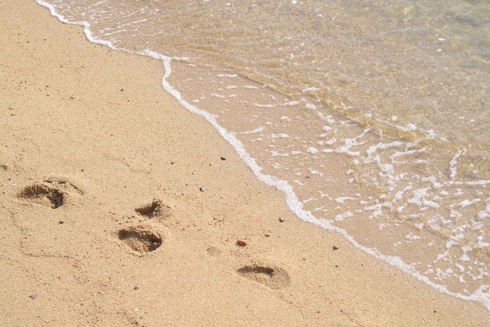 Nikon D600 sample photo. Sea, sandy, beach photography