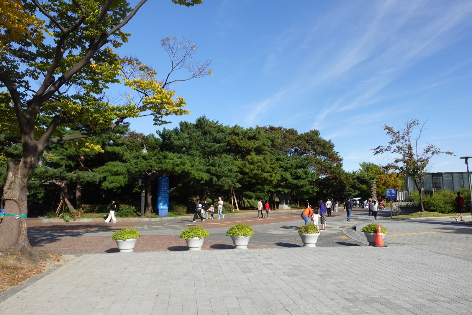 Sony ZV-1 sample photo