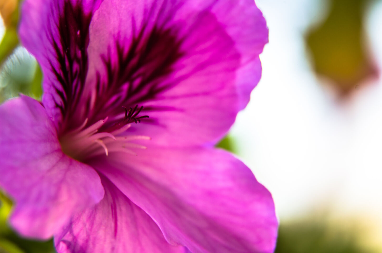 Nikon D5100 sample photo