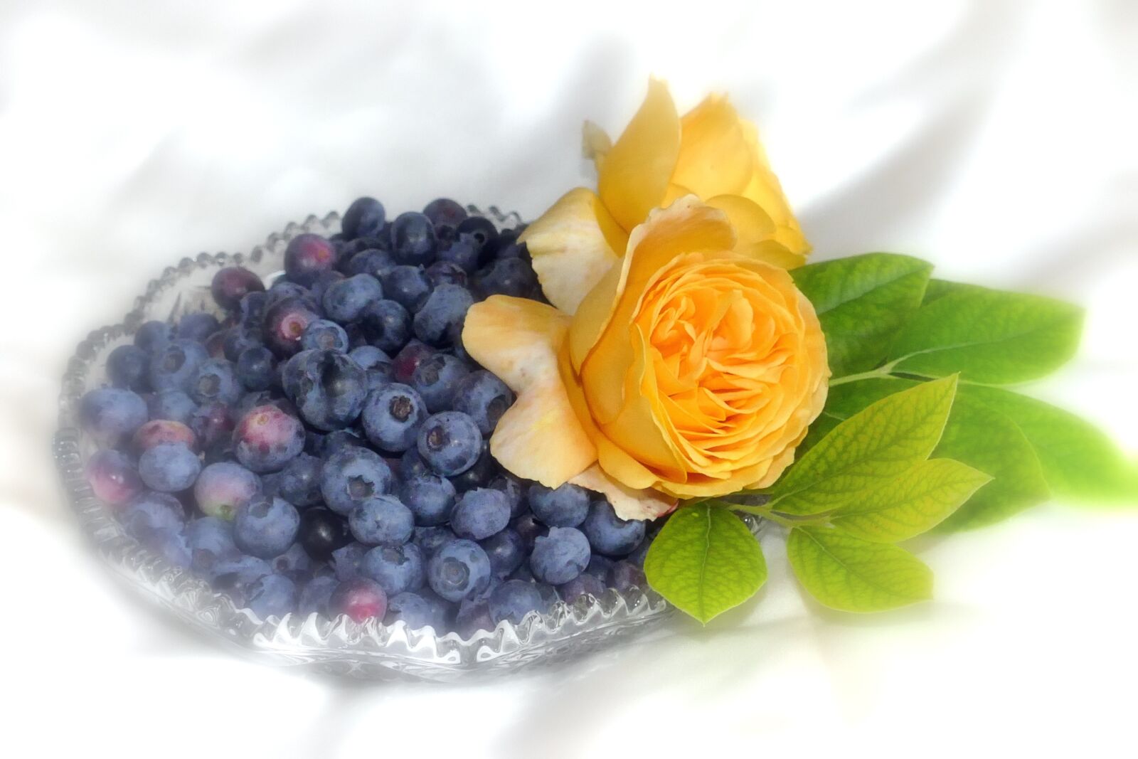 Panasonic Lumix DMC-FZ1000 sample photo. Blueberries, fruit, roses photography