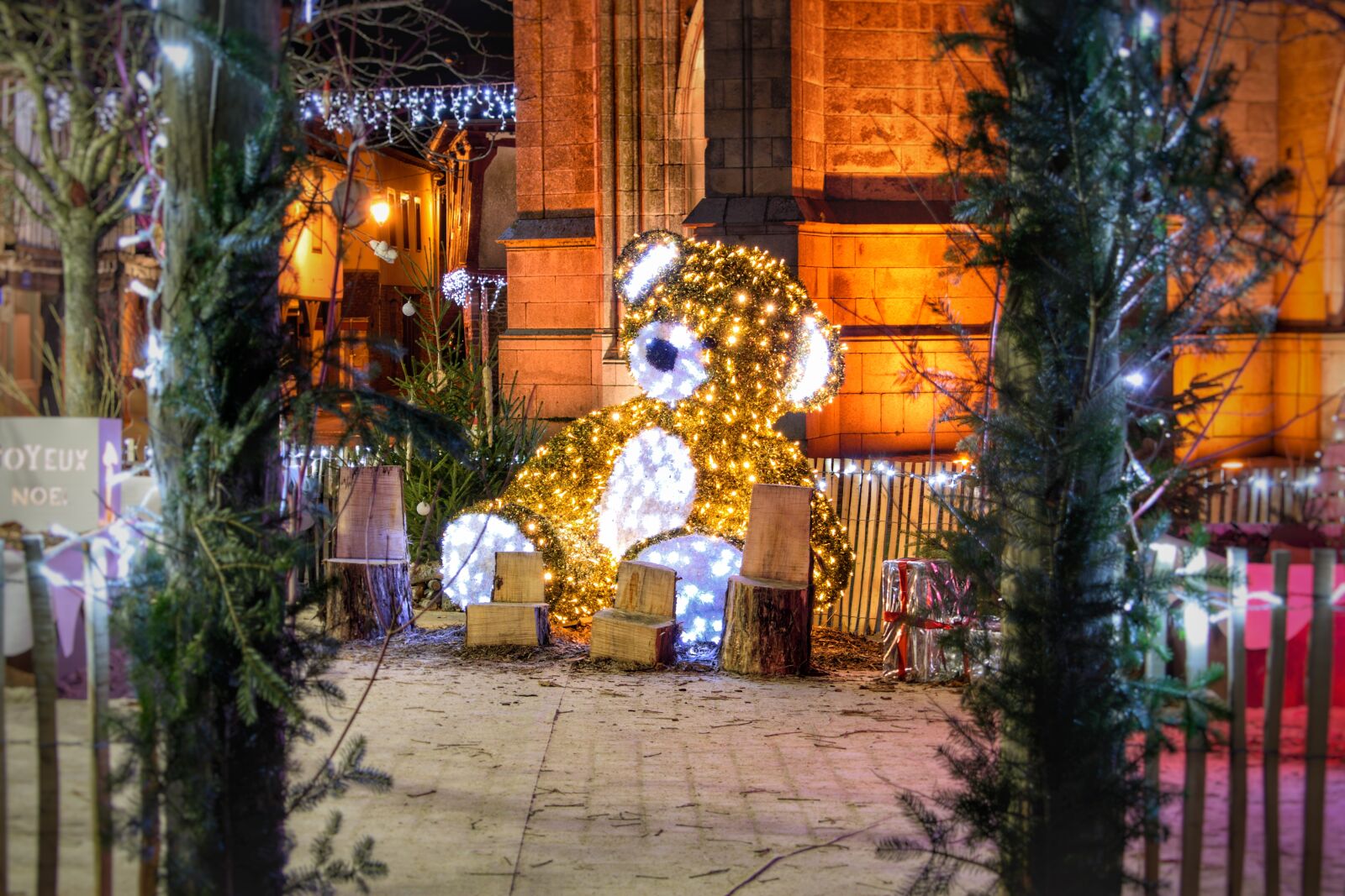 Nikon D3300 sample photo. Christmas lights, fairy lights photography