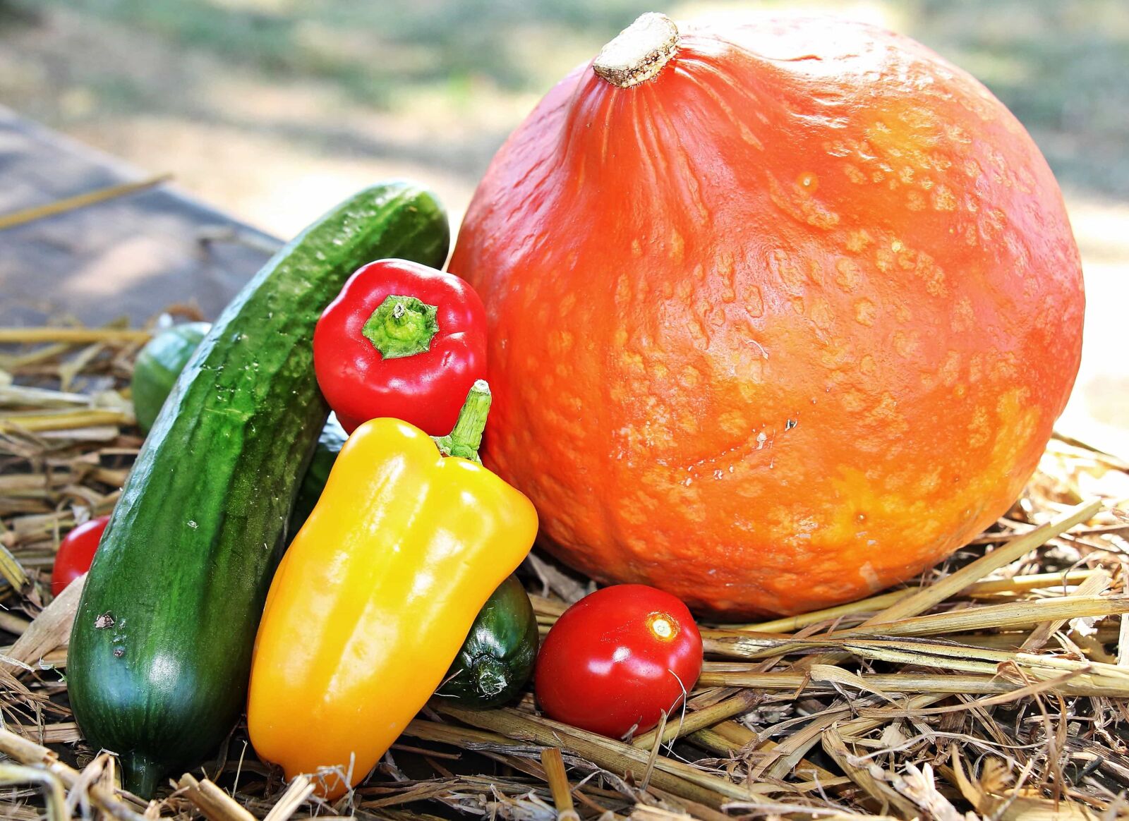 Canon EOS 550D (EOS Rebel T2i / EOS Kiss X4) sample photo. Leaf, food, vegetable, pumpkin photography