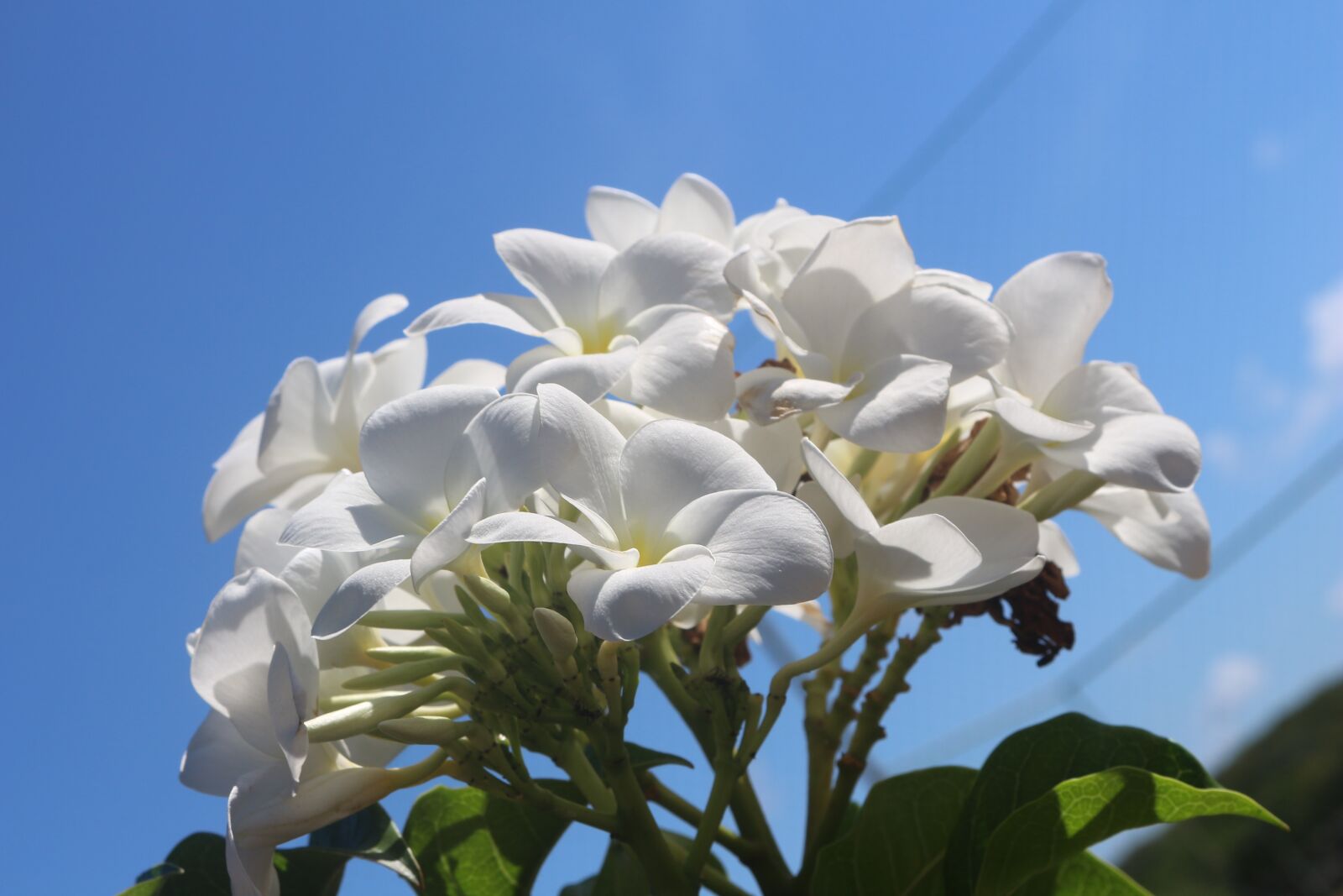Canon EOS 700D (EOS Rebel T5i / EOS Kiss X7i) sample photo. Nature, beautiful, landscape photography