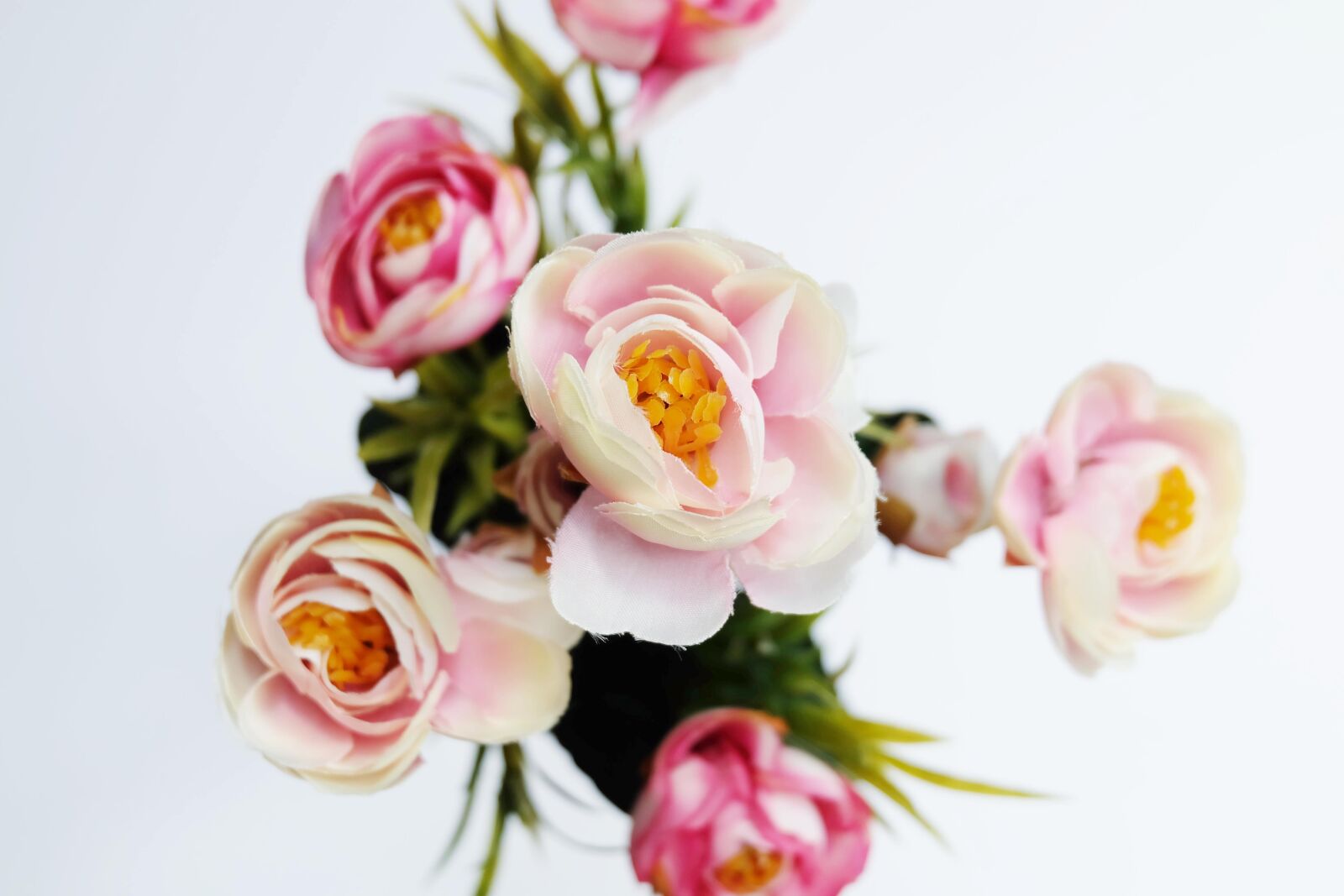 Fujifilm X-A2 + Fujifilm XC 16-50mm F3.5-5.6 OIS II sample photo. Artificial, flower, workshop, artificial photography