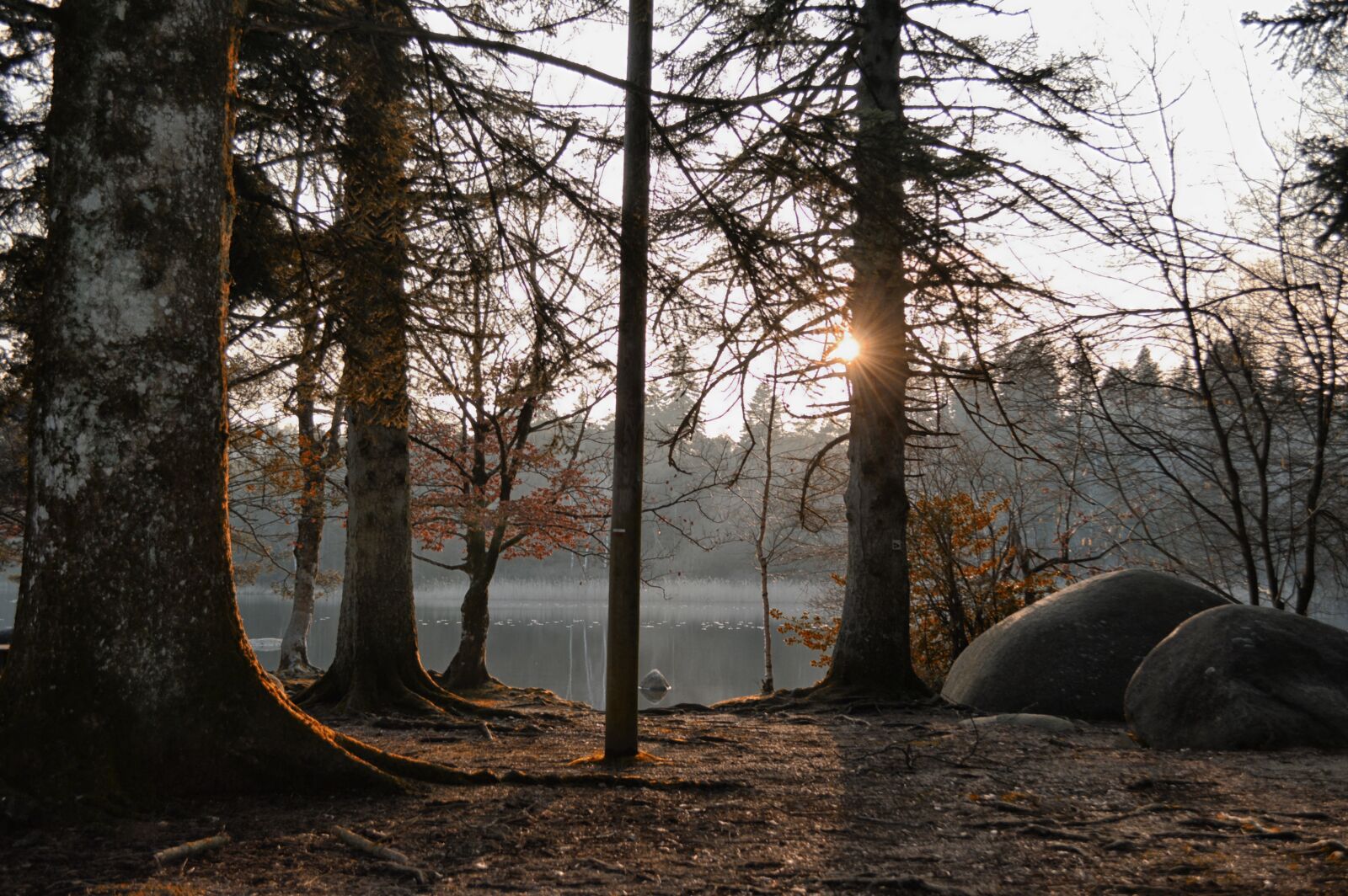 Nikon D3200 sample photo. Trees, nature, lake photography