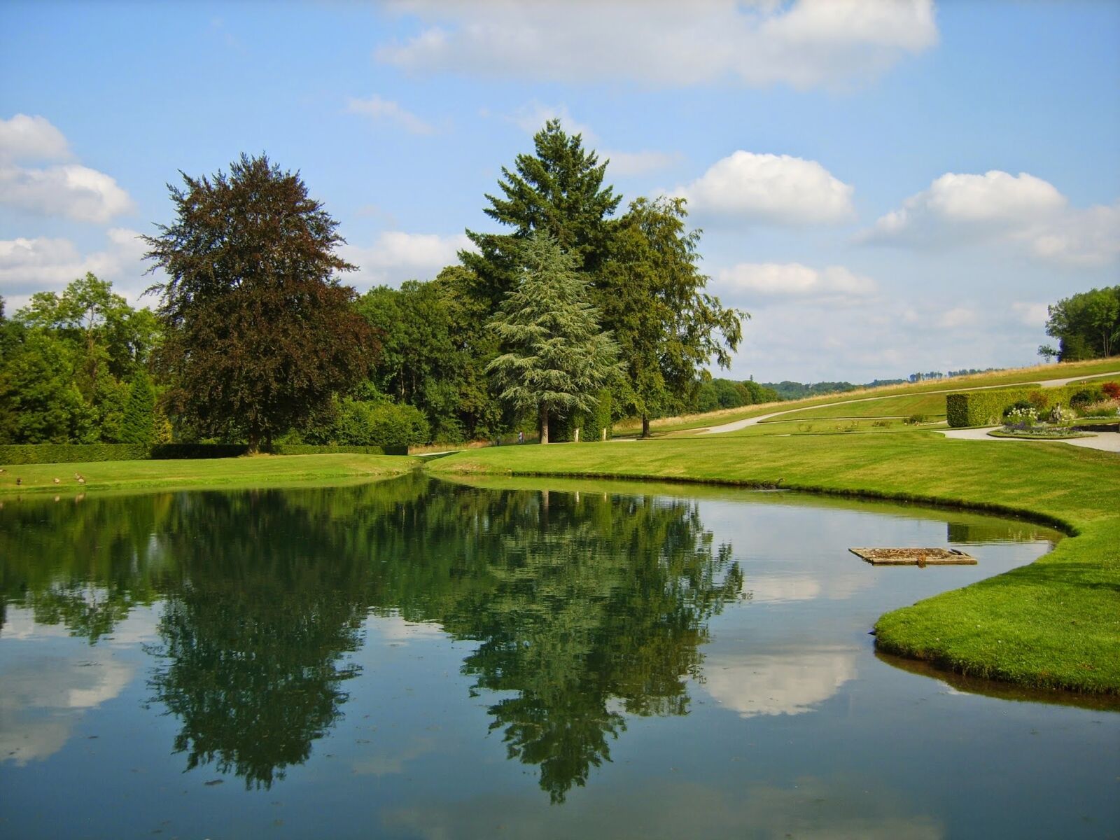 Samsung Digimax S830 / Kenox S830 sample photo. Trees, garden, pond photography