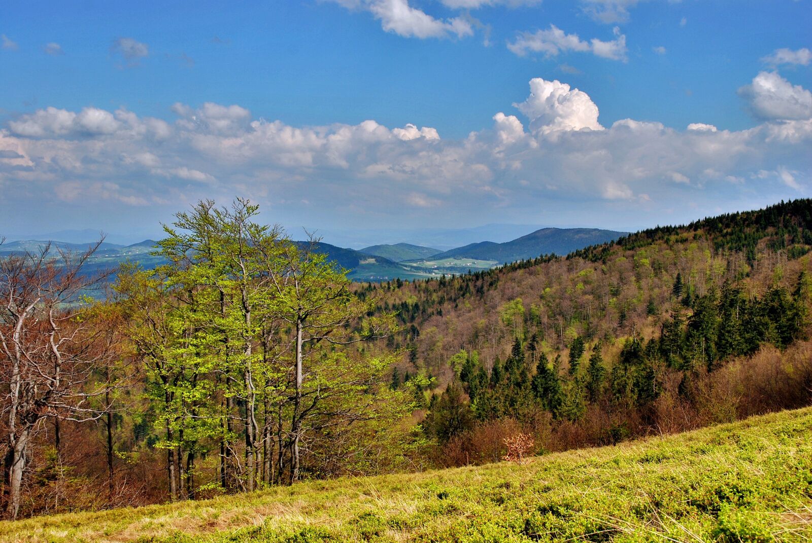 Nikon D80 sample photo. Landscape, beskids, mountains photography
