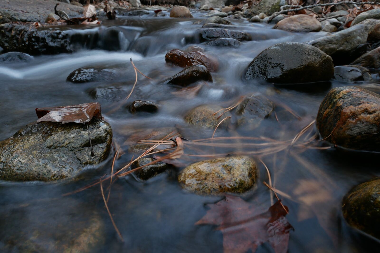 Panasonic Lumix DMC-GX85 (Lumix DMC-GX80 / Lumix DMC-GX7 Mark II) sample photo. Okanagan, nature, fall photography