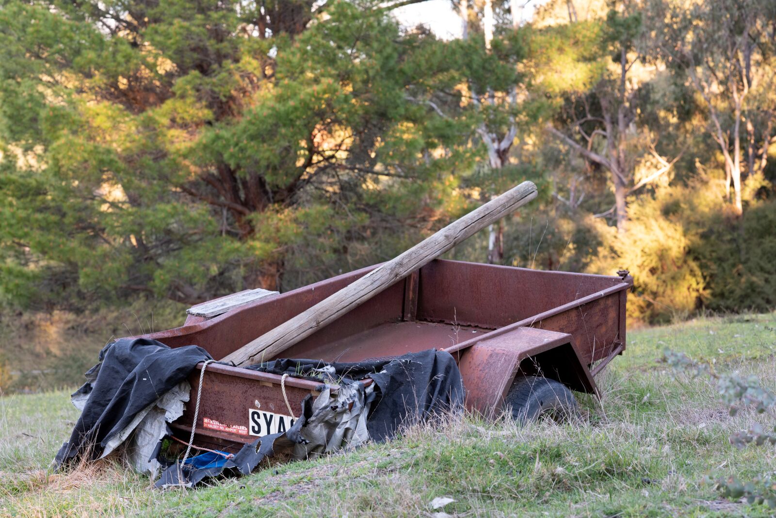 Nikon D750 sample photo. Trailer, rusty, old photography