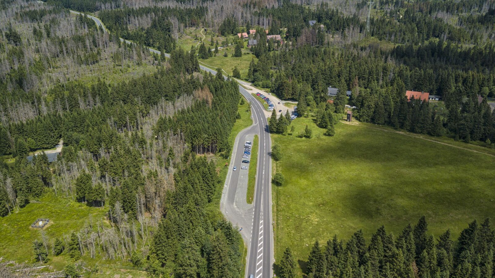 DJI FC220 sample photo. Resin, road, forest photography