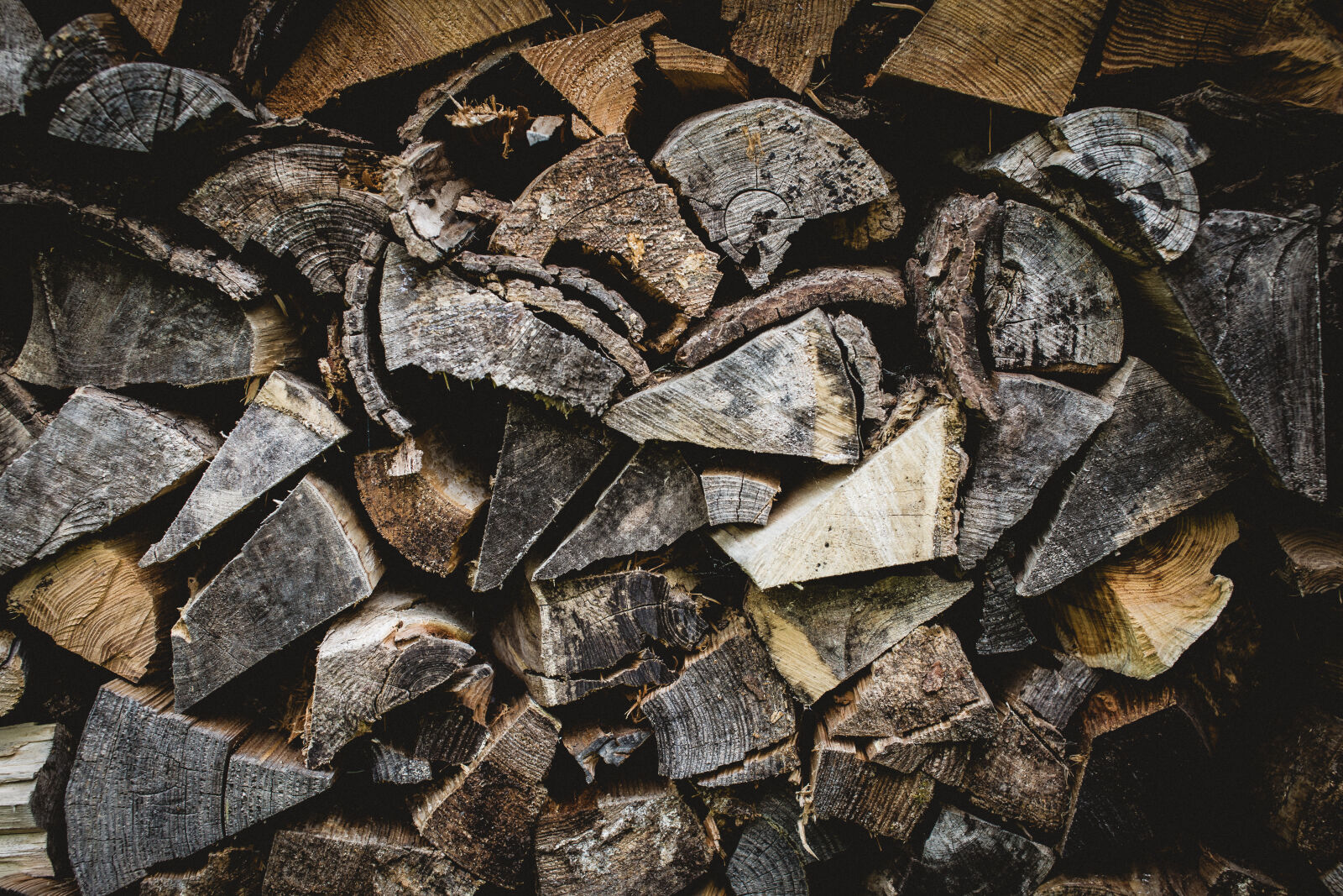 Canon EOS 6D + Sigma 50mm F1.4 EX DG HSM sample photo. Firewood, forest, log, logs photography