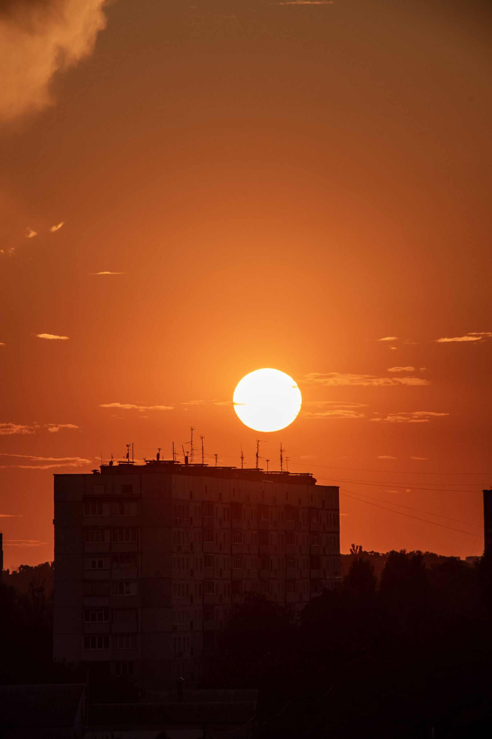 Nikon D750 sample photo