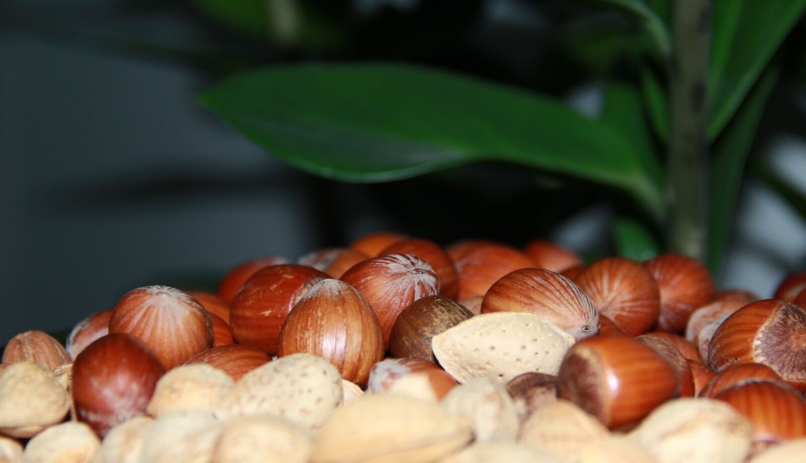 Canon EF-S 18-135mm F3.5-5.6 IS sample photo. Snacks, peanut, delicious photography