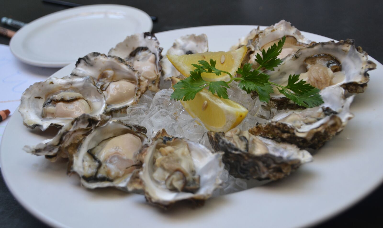 Nikon D3100 sample photo. Oysters, food, oyster photography