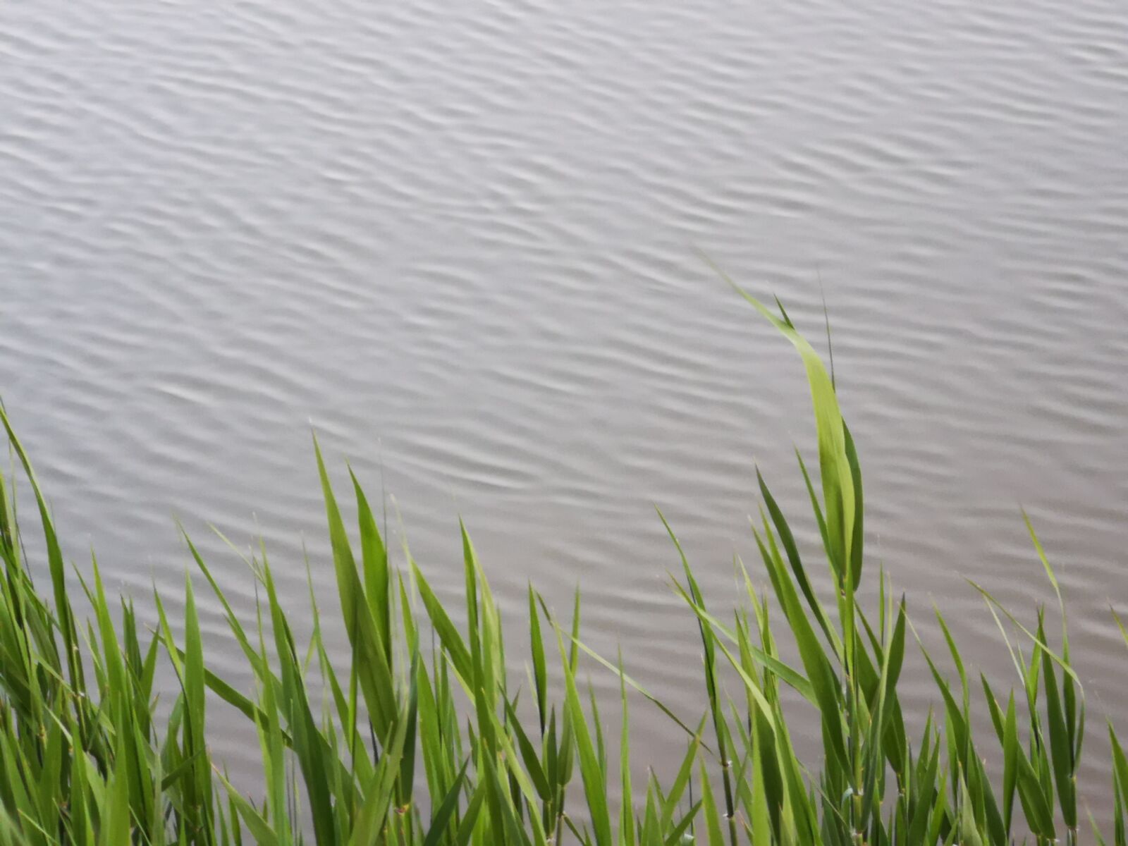 HUAWEI P20 Pro sample photo. Waves, ripples, lake photography