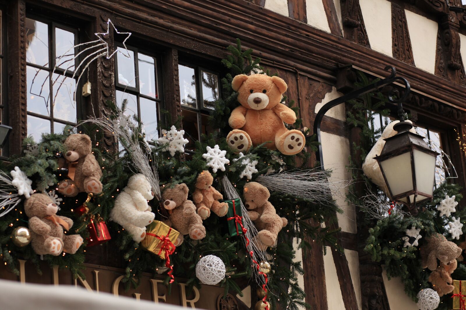 Canon EOS 5D Mark II sample photo. Christmas, bear, cut photography