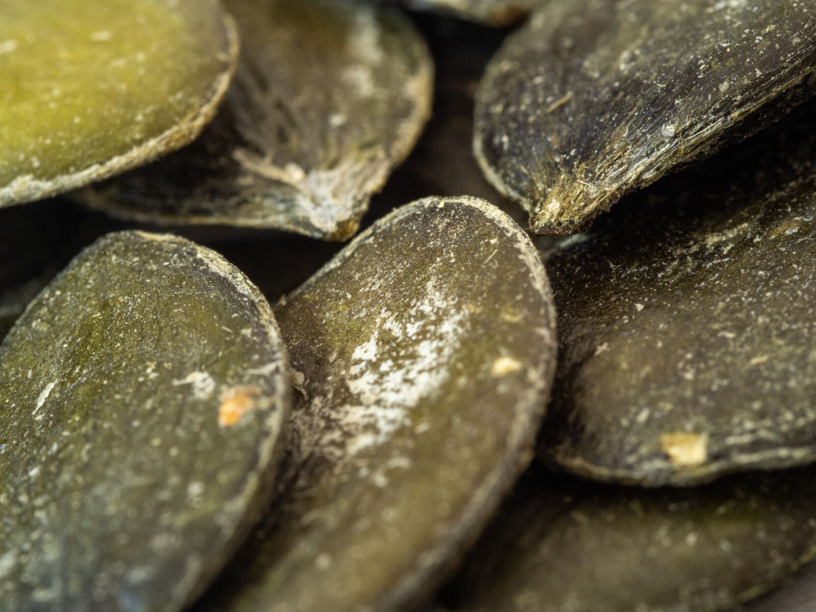 Olympus OM-D E-M10 III sample photo. Pumpkin, seeds, fruits photography