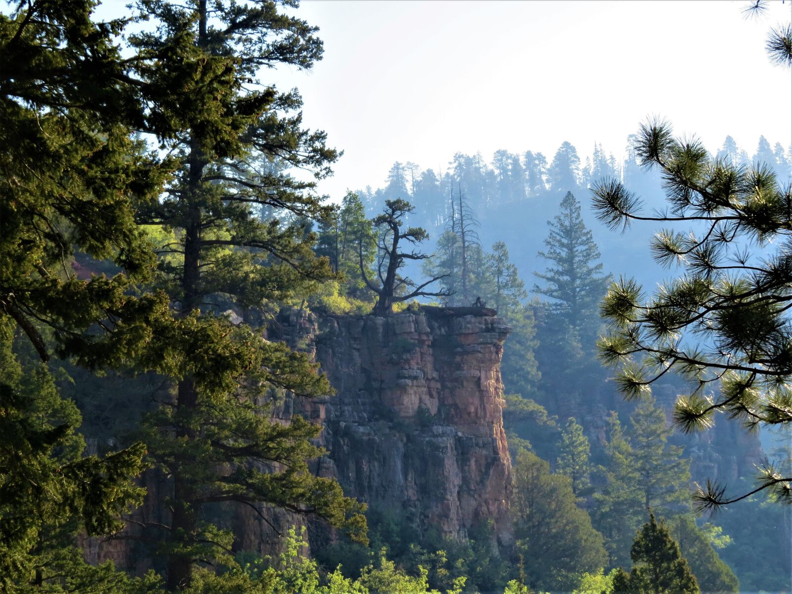 Canon PowerShot SX50 HS sample photo. North rim grand canyon photography