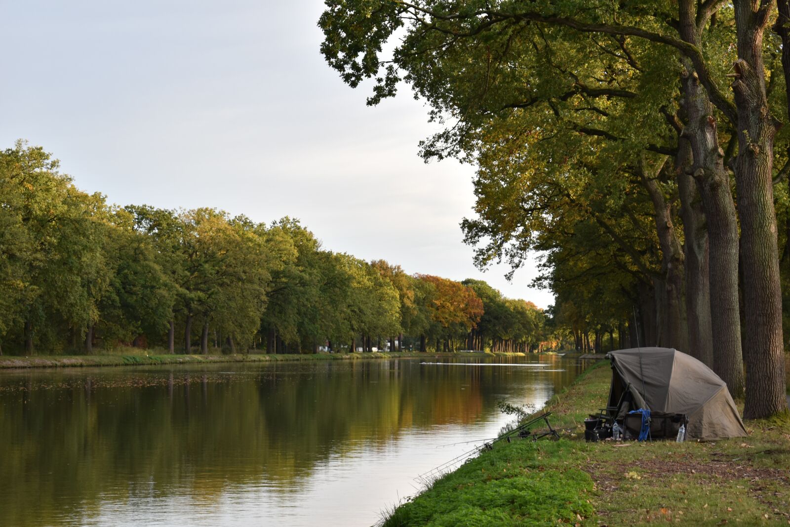 Nikon D3500 sample photo. Channel, relaxation, fish photography