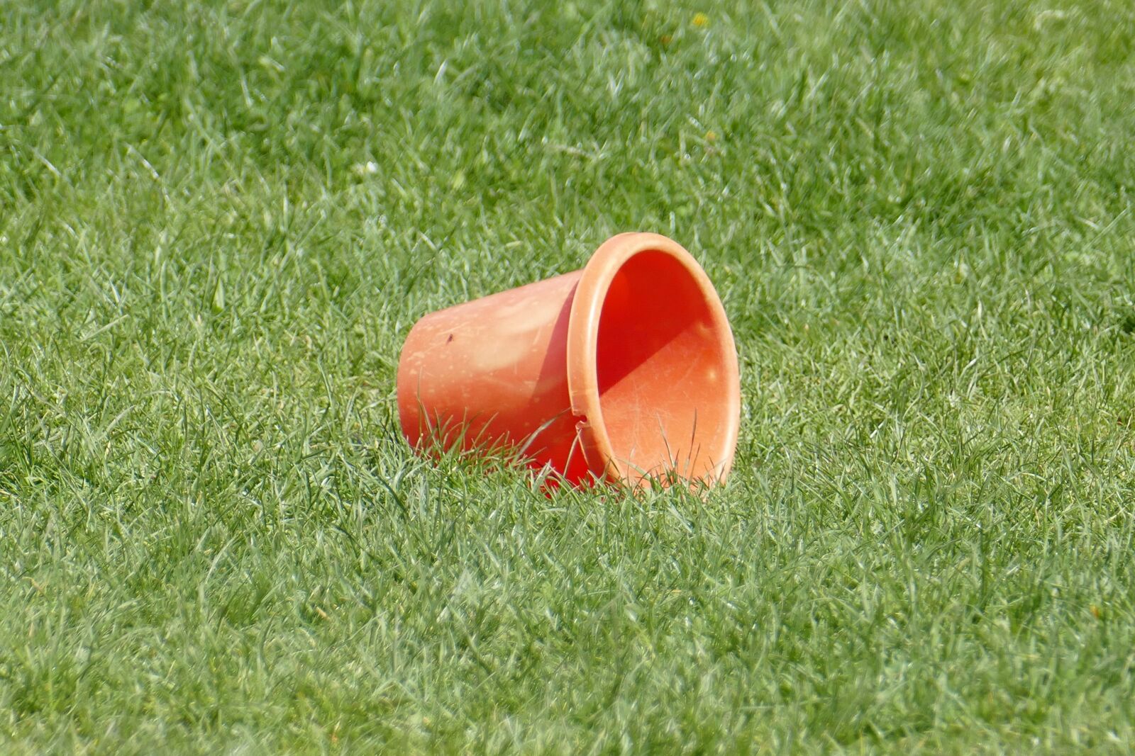 Panasonic Lumix DMC-FZ1000 sample photo. Meadow, play bucket, rush photography