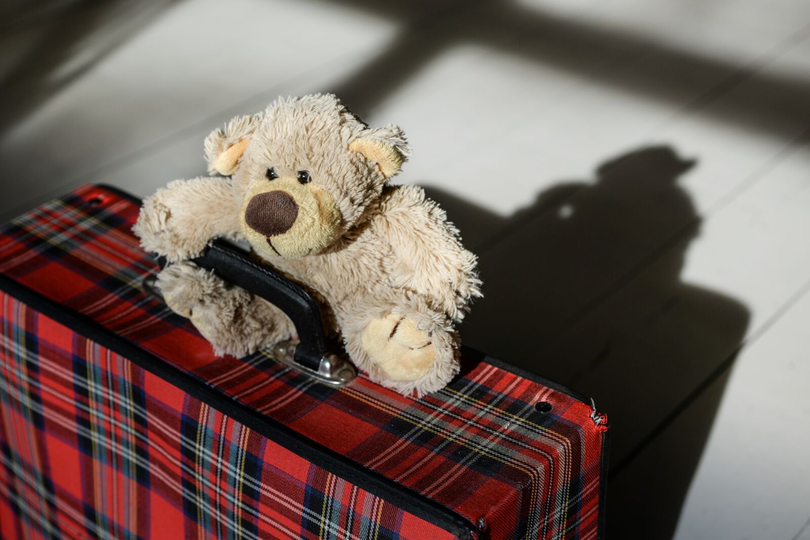 Nikon D610 sample photo. Teddy, bear, suitcase photography