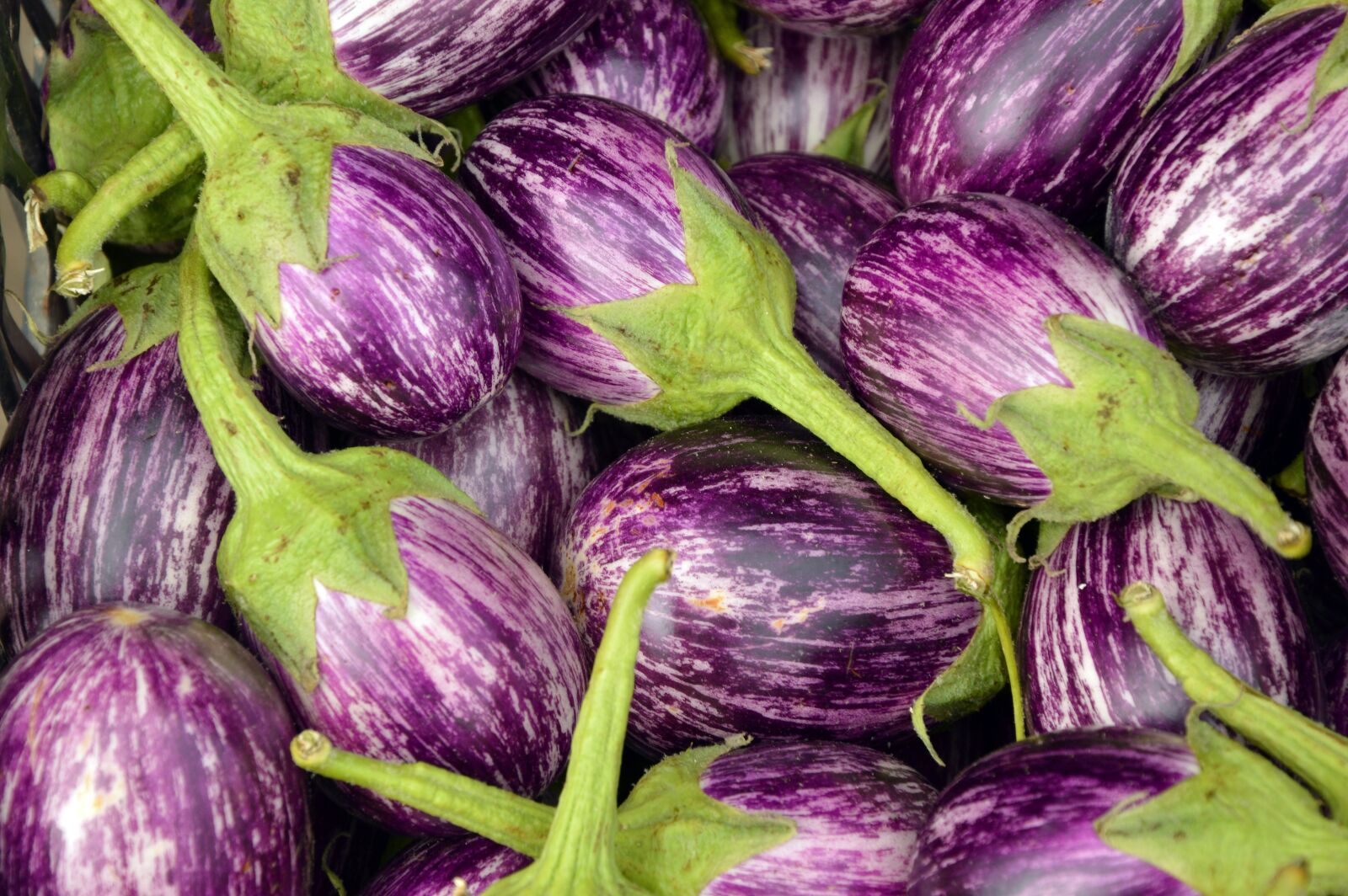 Nikon D3200 sample photo. Eggplant, fruit, vegetables photography