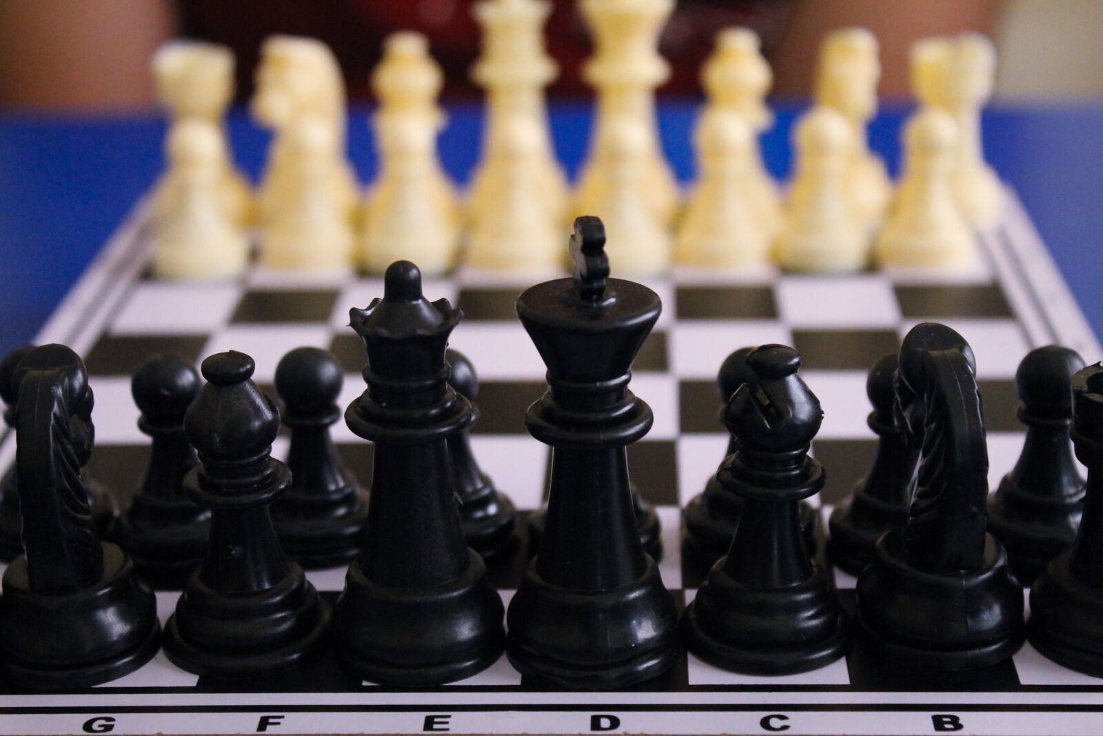 Canon EOS 1100D (EOS Rebel T3 / EOS Kiss X50) sample photo. Game, chess, competition photography