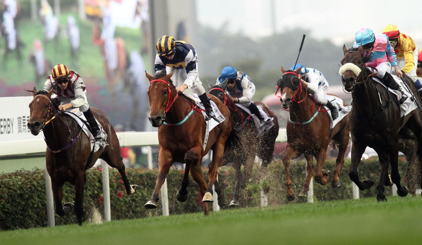 Canon EOS 7D sample photo. Competition, horse, jockey photography